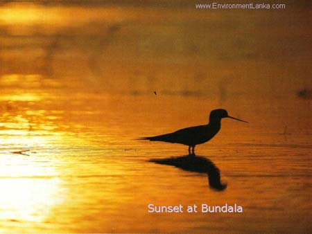 Bundala National Park